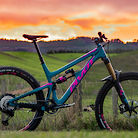 Pivot Firebird