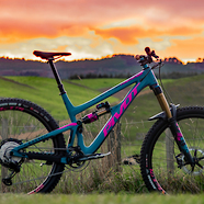 Pivot Firebird