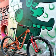 Revel Rascal