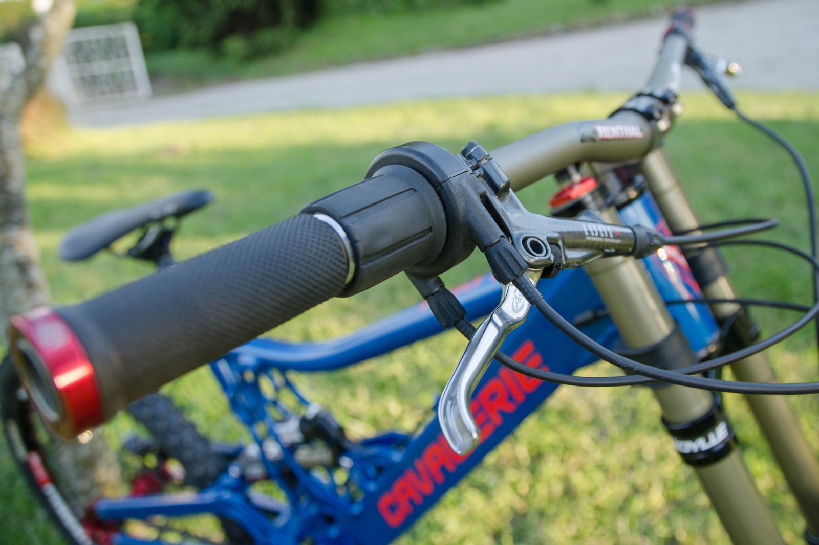 Falcon DH gearbox bike david.roumeas's Bike Check Vital MTB