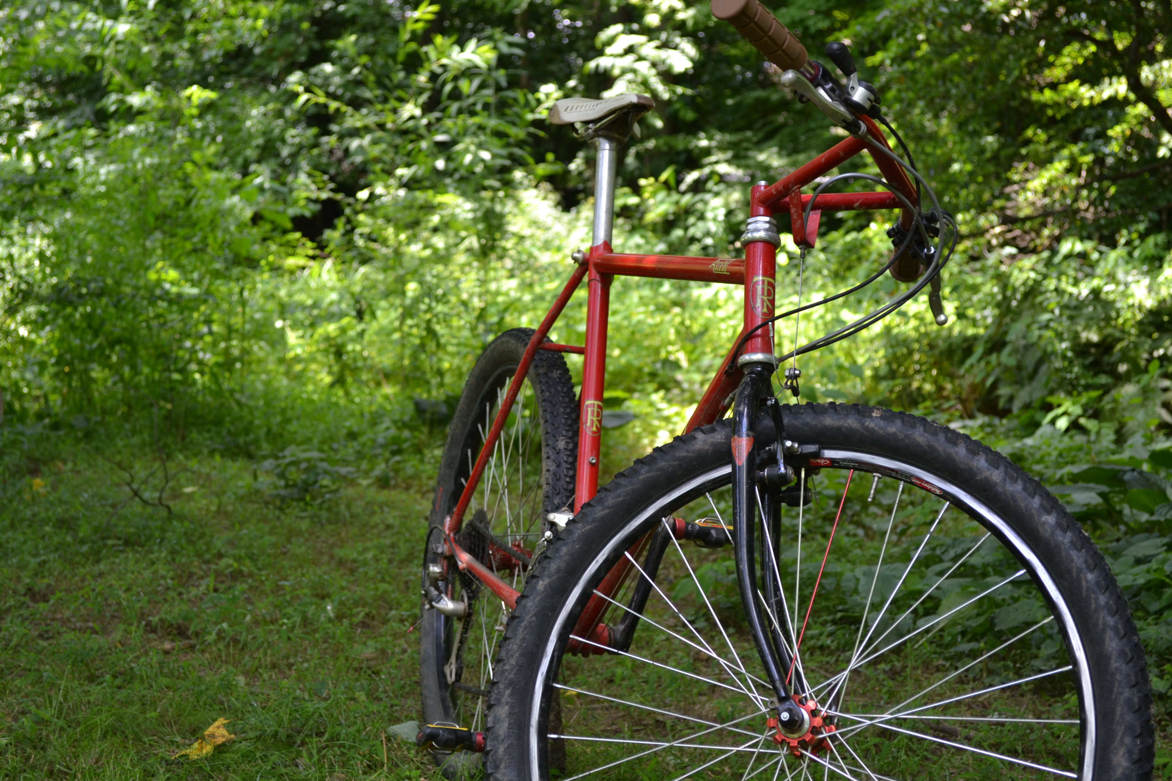 stumpjumper bikepacking