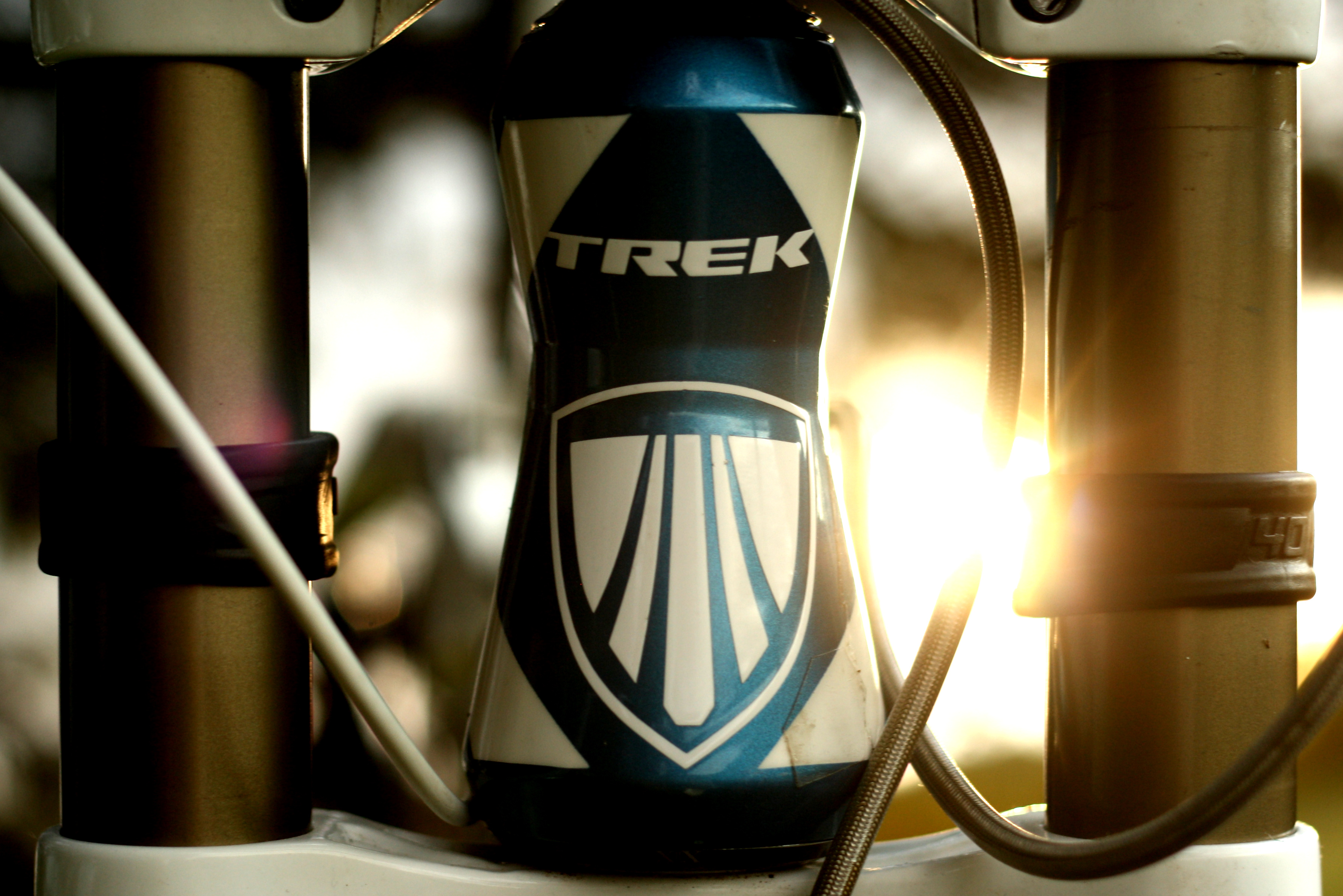 Custom Scottish Paint Job 1AndrewBradford's Bike Check Vital MTB