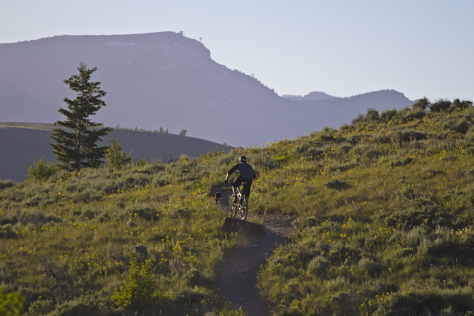 One last climb before a fast descent into the town of Jackson - jacksonholemountainresort - Mountain Biking Pictures - Vital MTB