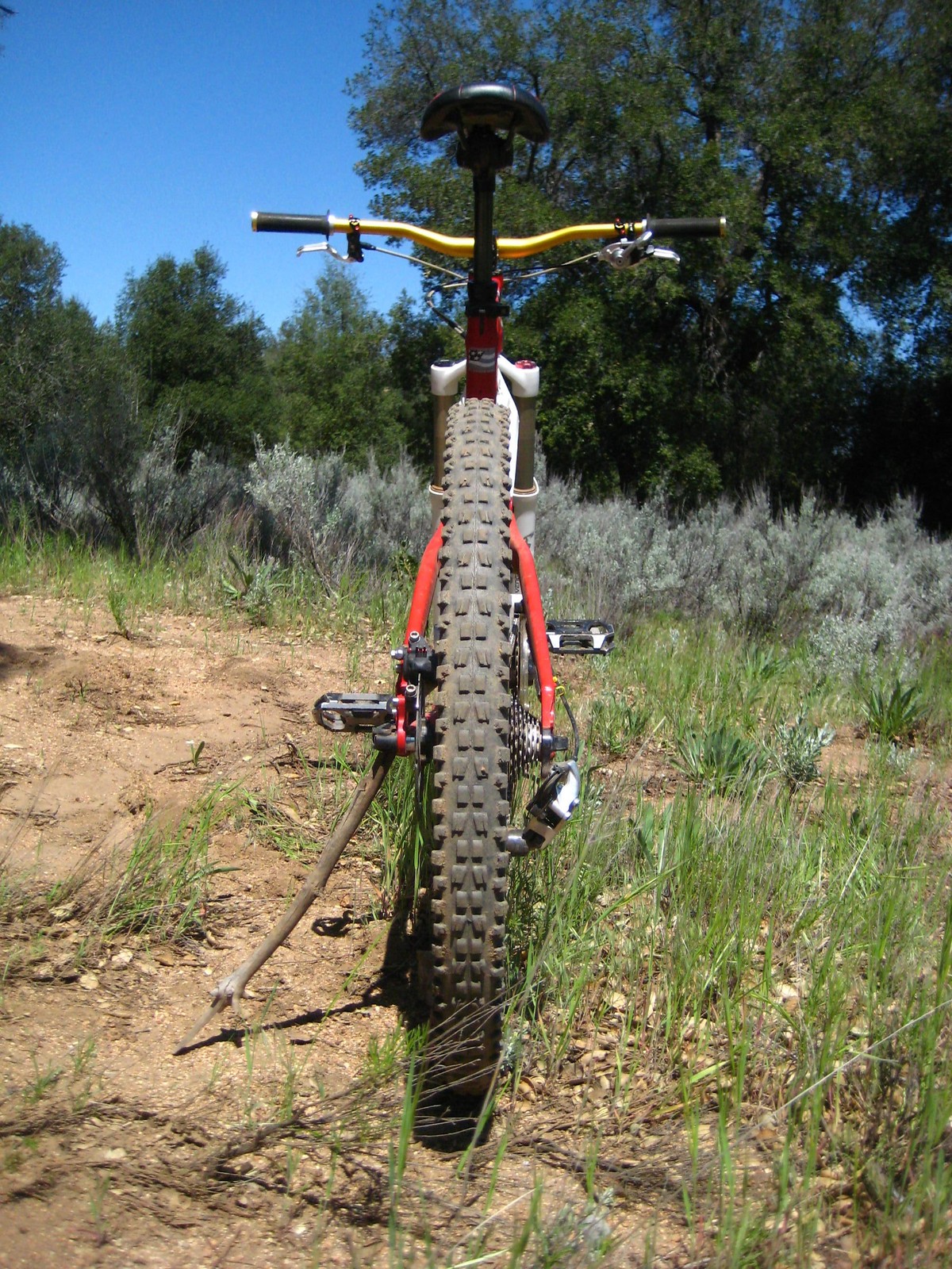 minion maxxis 29