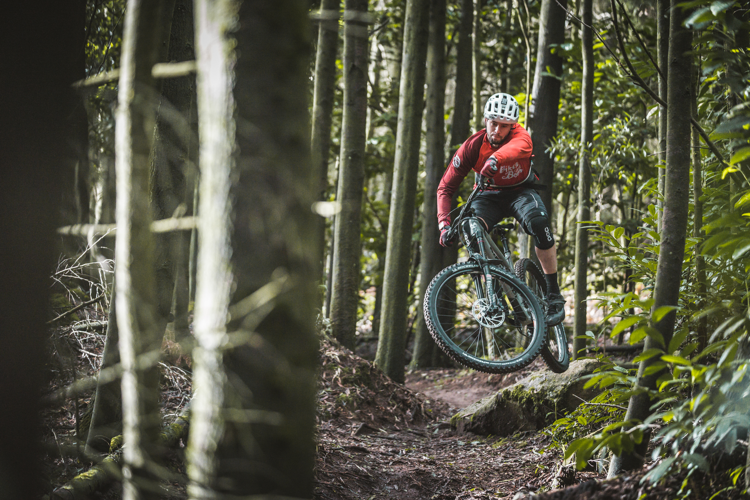 This is Portugal Sintra 01/2019 joaotenedoriofanzeres Mountain