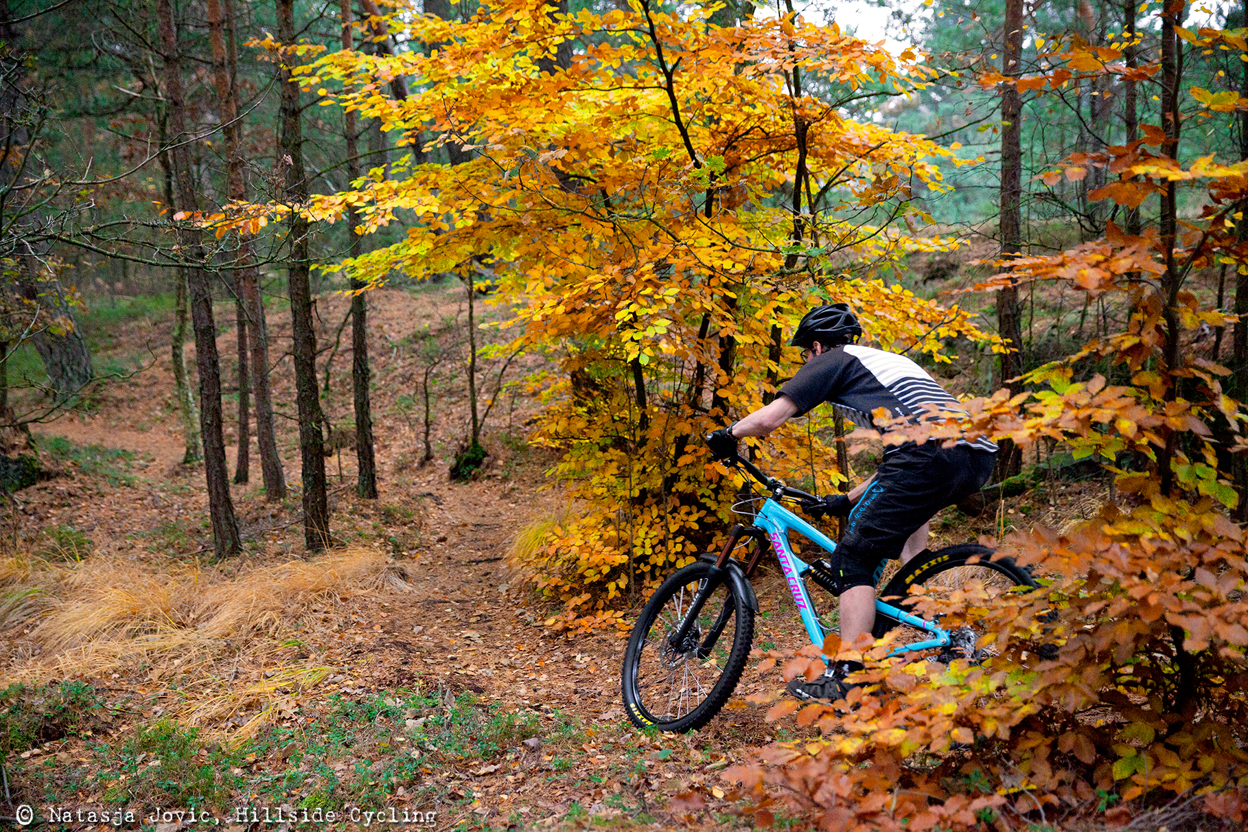 Autumn on Badger trail - Hillside Cycling - Mountain Biking Pictures