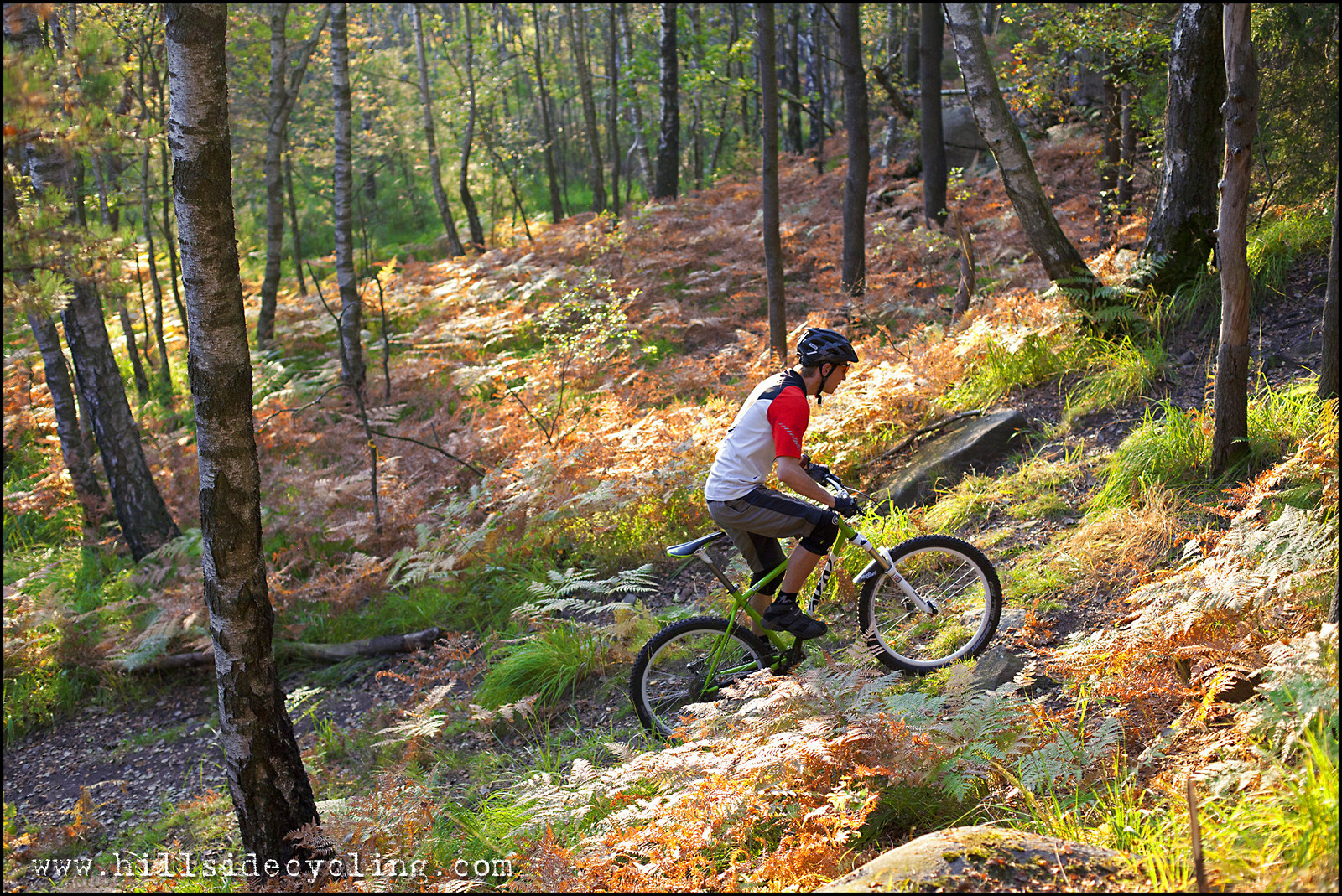 Colorful Ride Hillside Cycling Mountain Biking Pictures Vital MTB