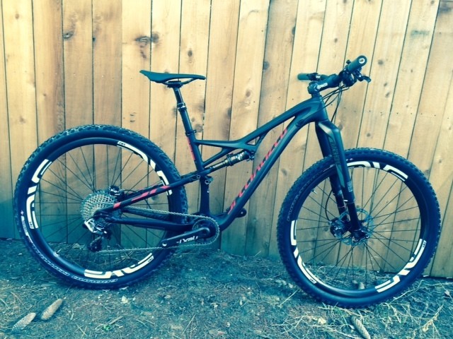 propain downhill bike