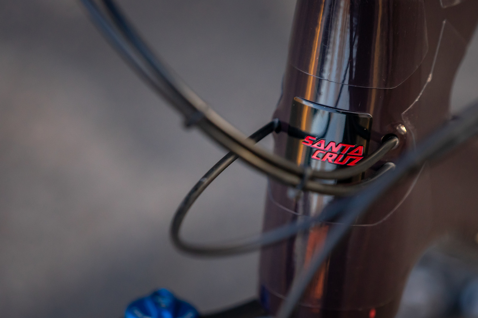 Peanut Butter Jelly Time dstucki's Bike Check Vital MTB