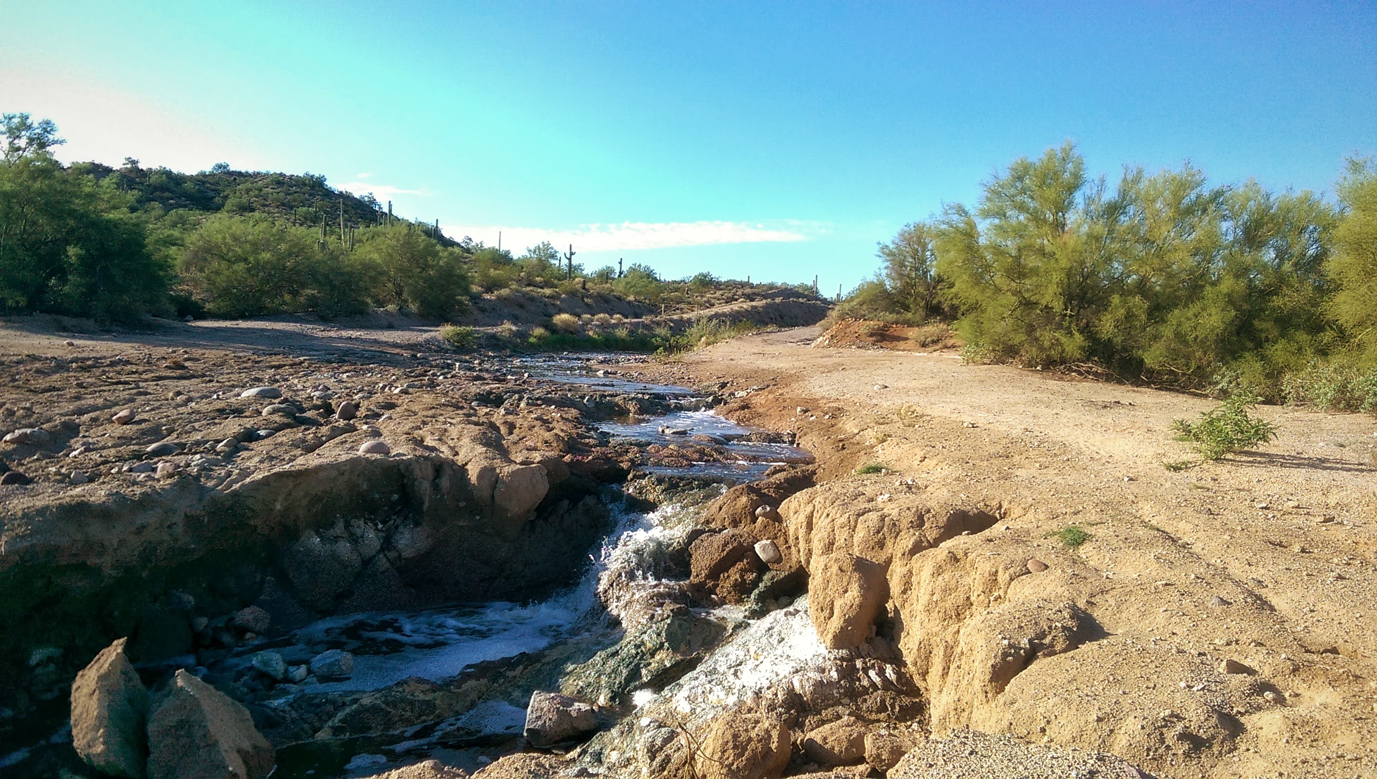 Hawes Trails Mesa AZ PJamz Mountain Biking Pictures Vital MTB