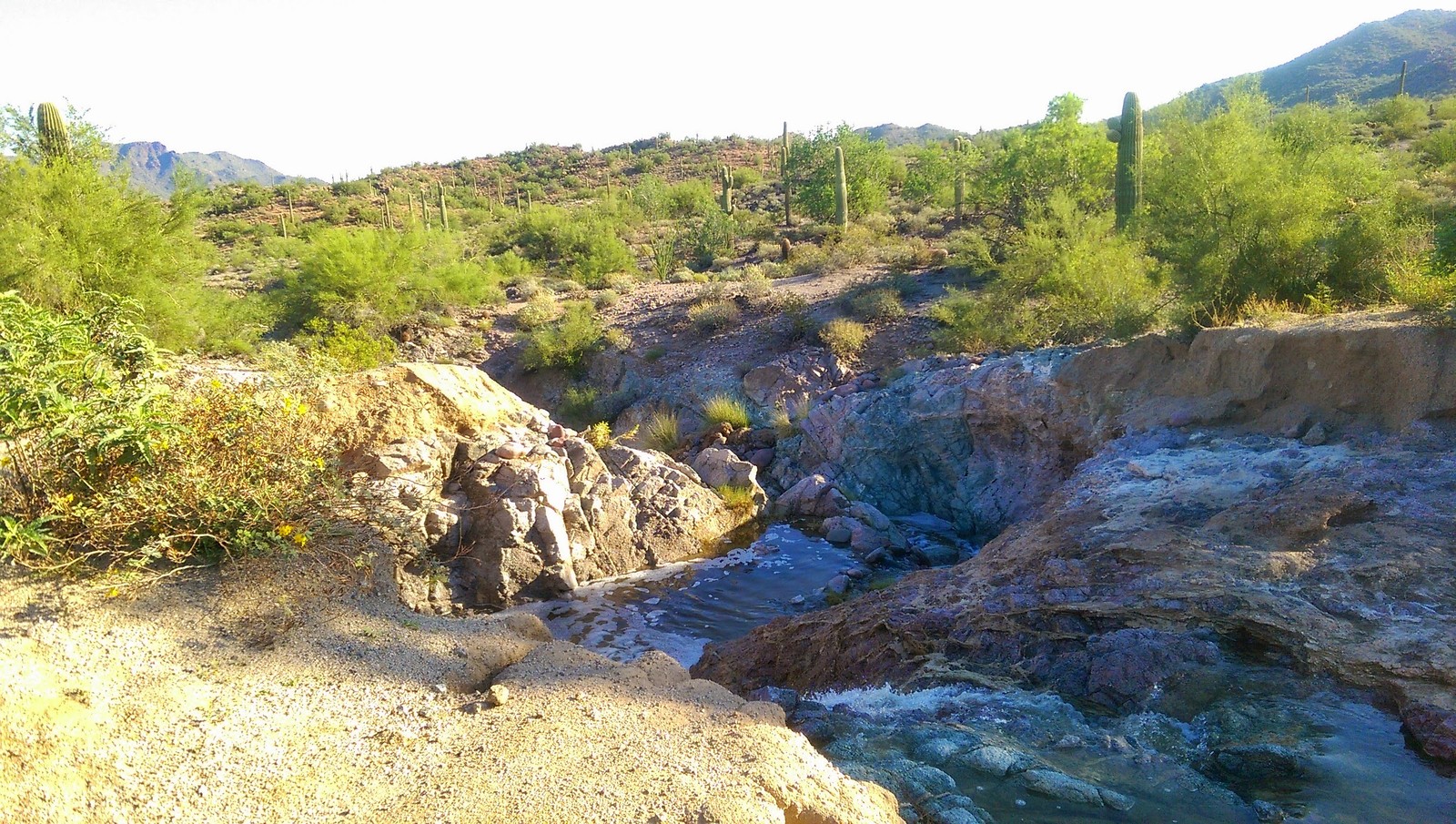 Hawes Trails Mesa AZ PJamz Mountain Biking Pictures Vital MTB