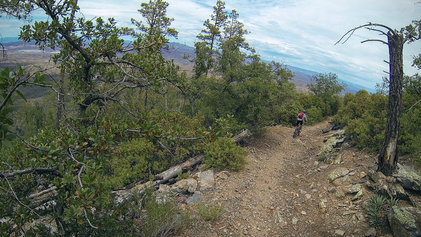 Kellner Canyon Trail Globe, AZ PJamz Mountain Biking Pictures