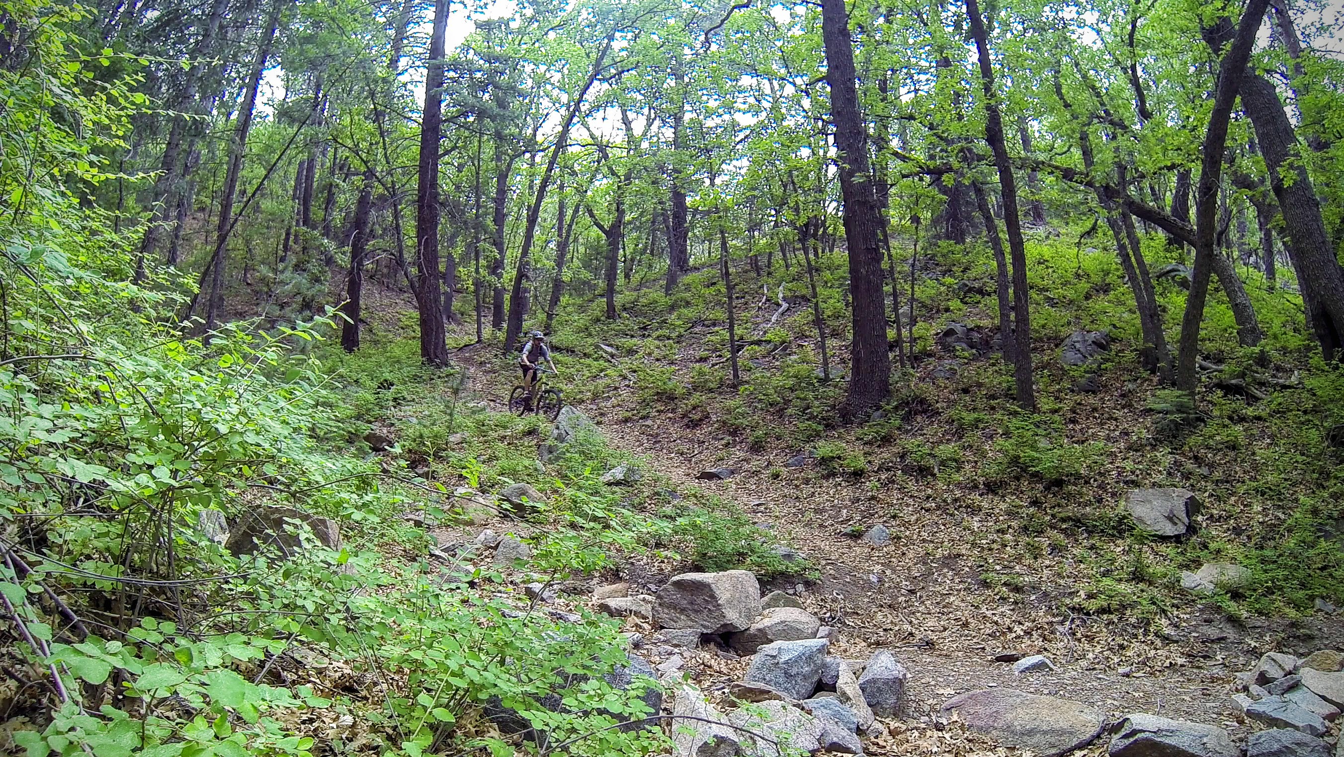 Kellner Canyon Trail Globe, AZ PJamz Mountain Biking Pictures