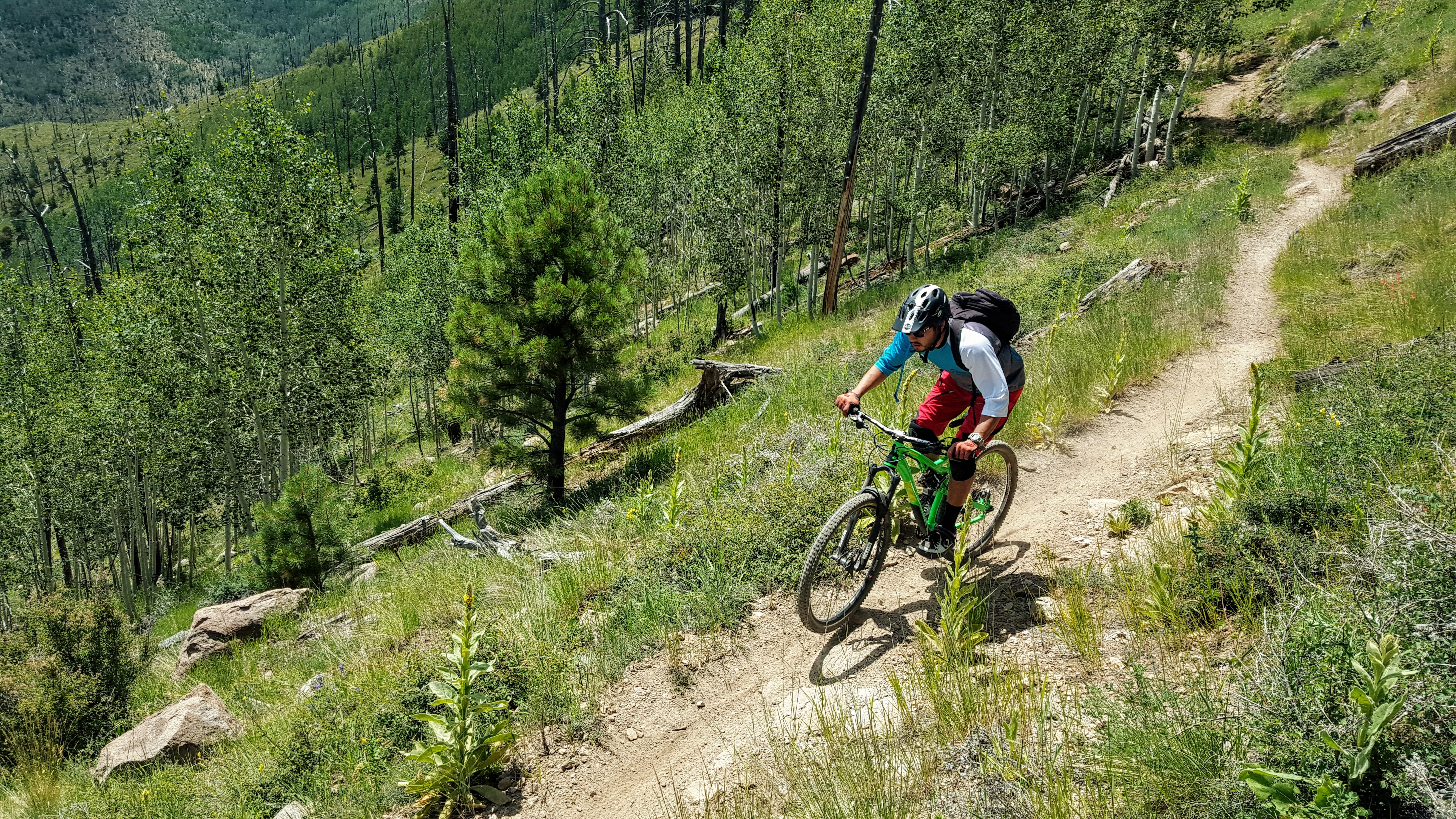Sunset Trail Flagstaff Az Pjamz Mountain Biking Pictures Vital Mtb The great city of flagstaff, arizona turned out to be the perfect locale for some quality mountain okay finally we were rolling onto the trail and up the mountain. vital mtb