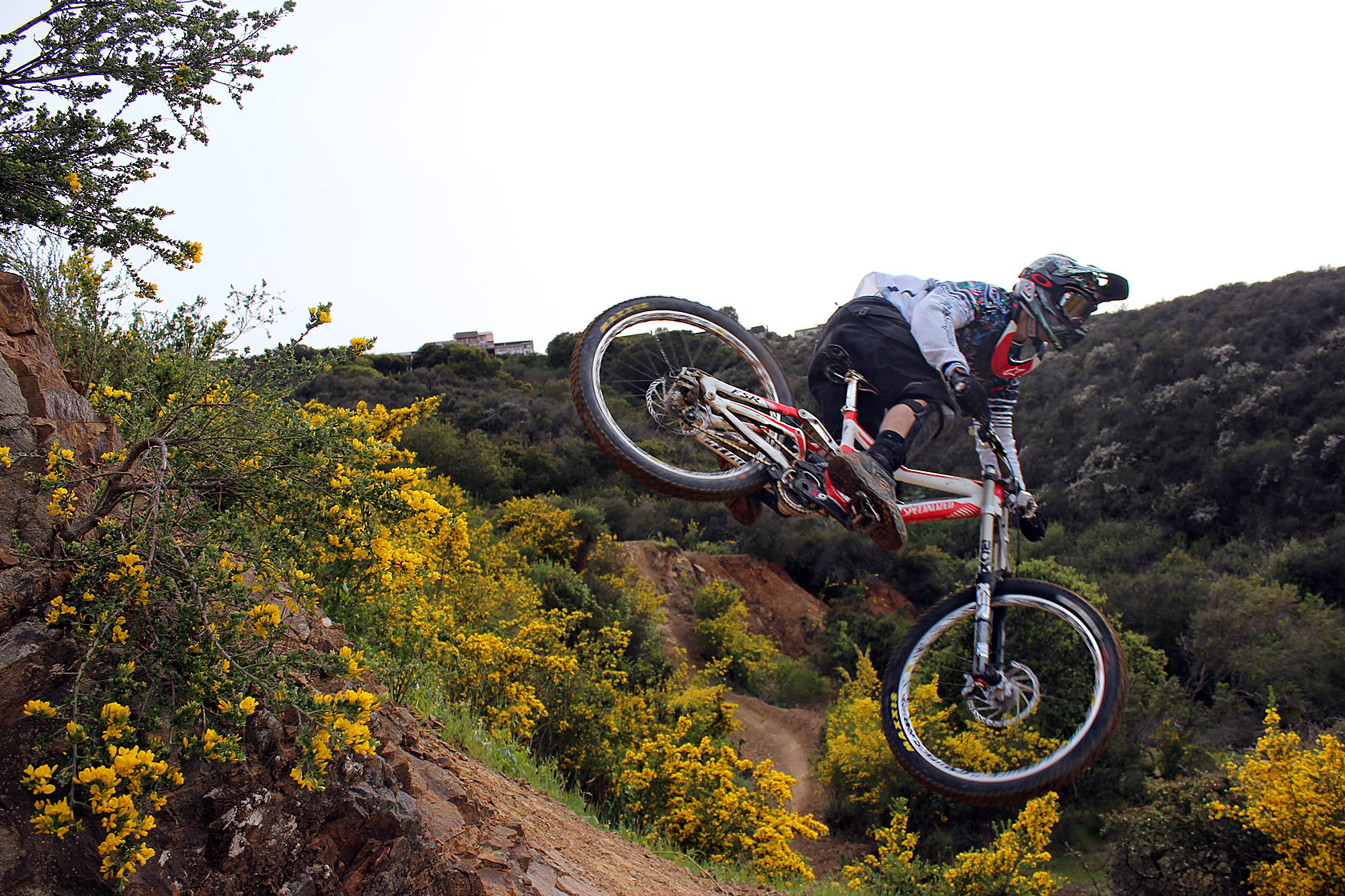 whip - immortal - Mountain Biking Pictures - Vital MTB