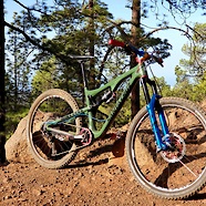 Santa Cruz Bronson custom