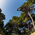 c138 DSC 0241.jpg?VersionId=S7Q0noPzQDoelWahBQxM7Pqozs6Sl3