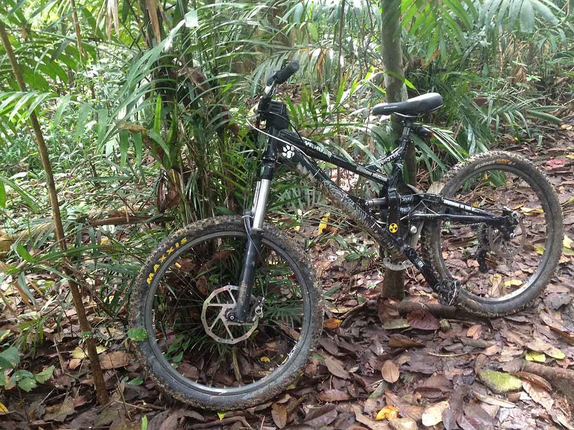 iron horse yakuza downhill bike