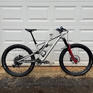 Stumpjumper Evo