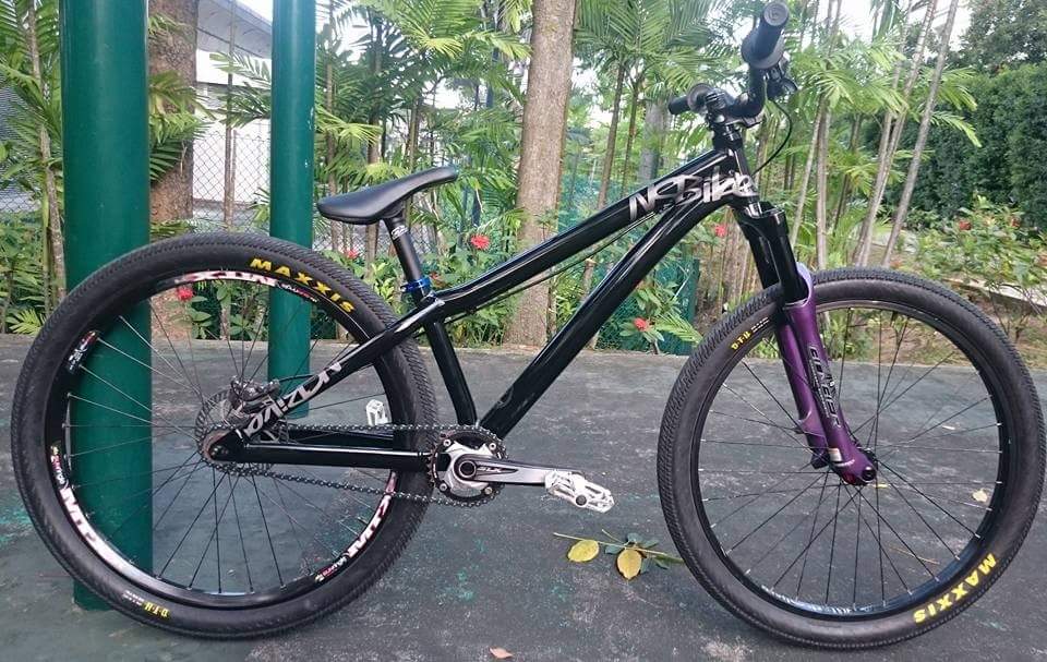 ns decade frame for sale