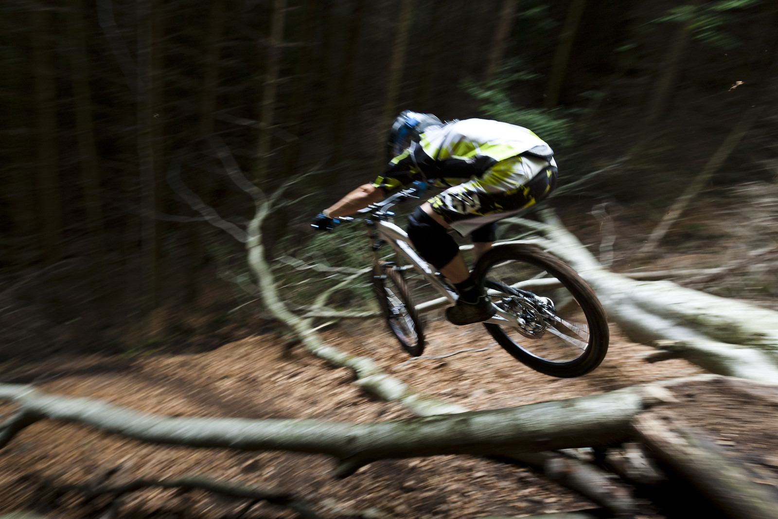 black forest secret spot quasibinaer mountain biking pictures vital mtb