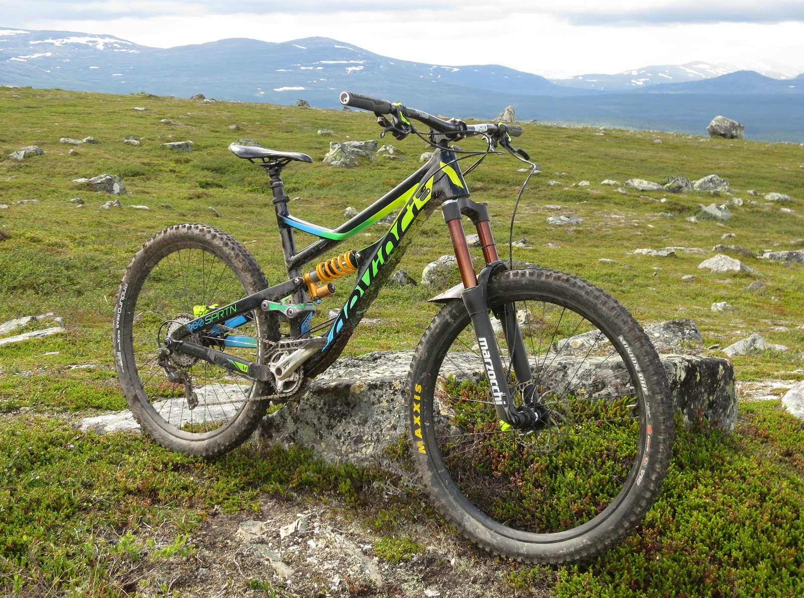 devinci spartan bearing kit