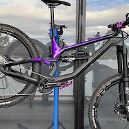 Purple Canyon Torque 8.0 2020