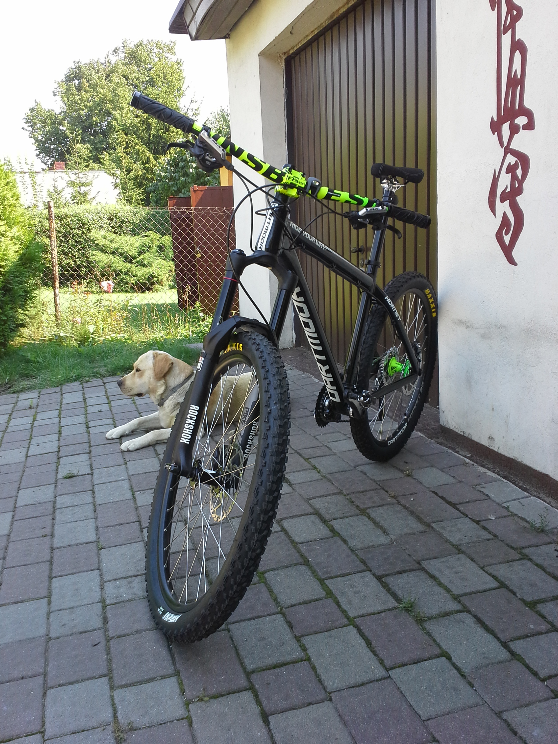 ダートムーア dartmoor hornet 2014　ホイールセット ダートムーア dartmoor hornet 2014 ホイールセット - メルカリ