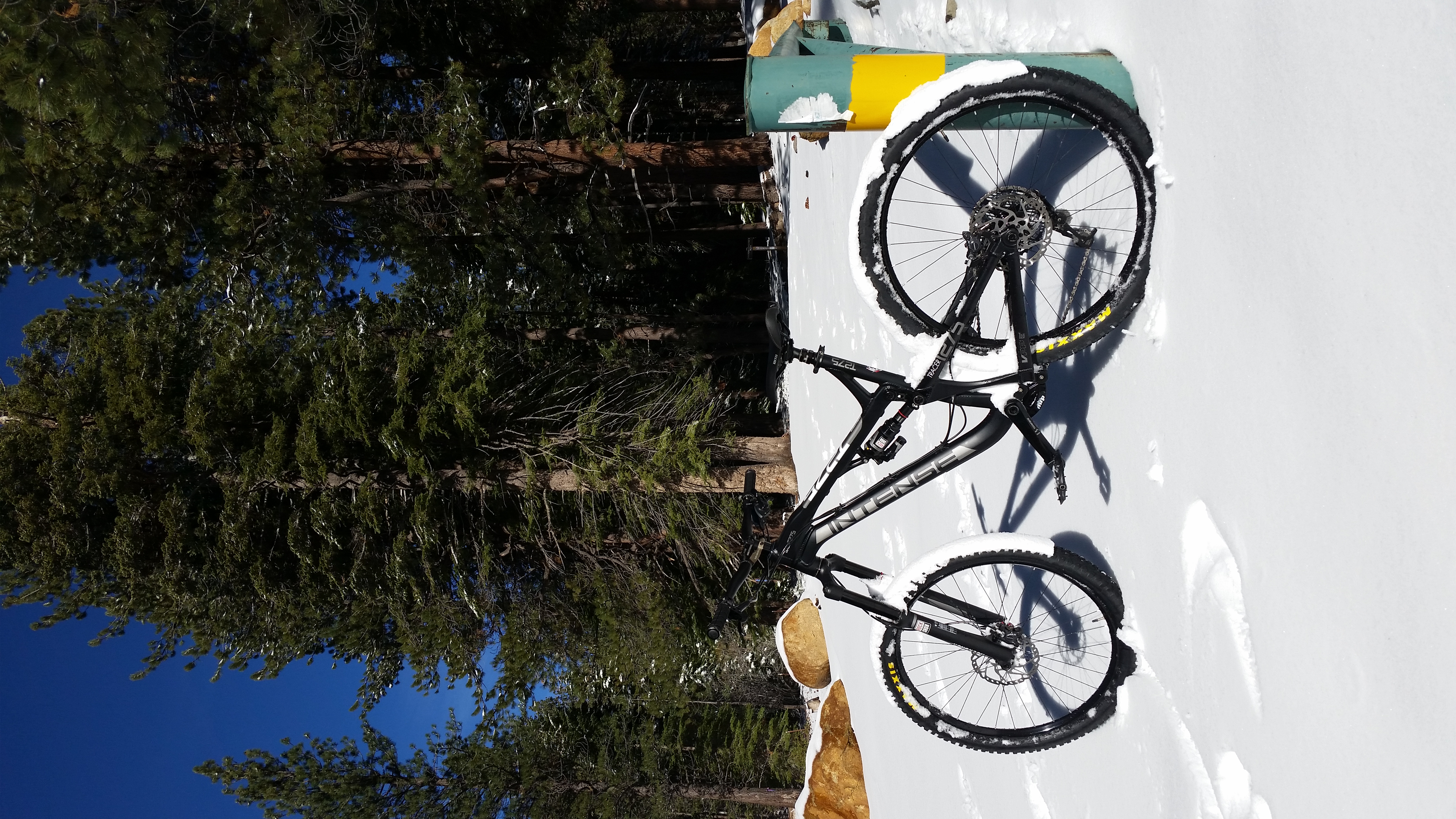 intense tracer t275c