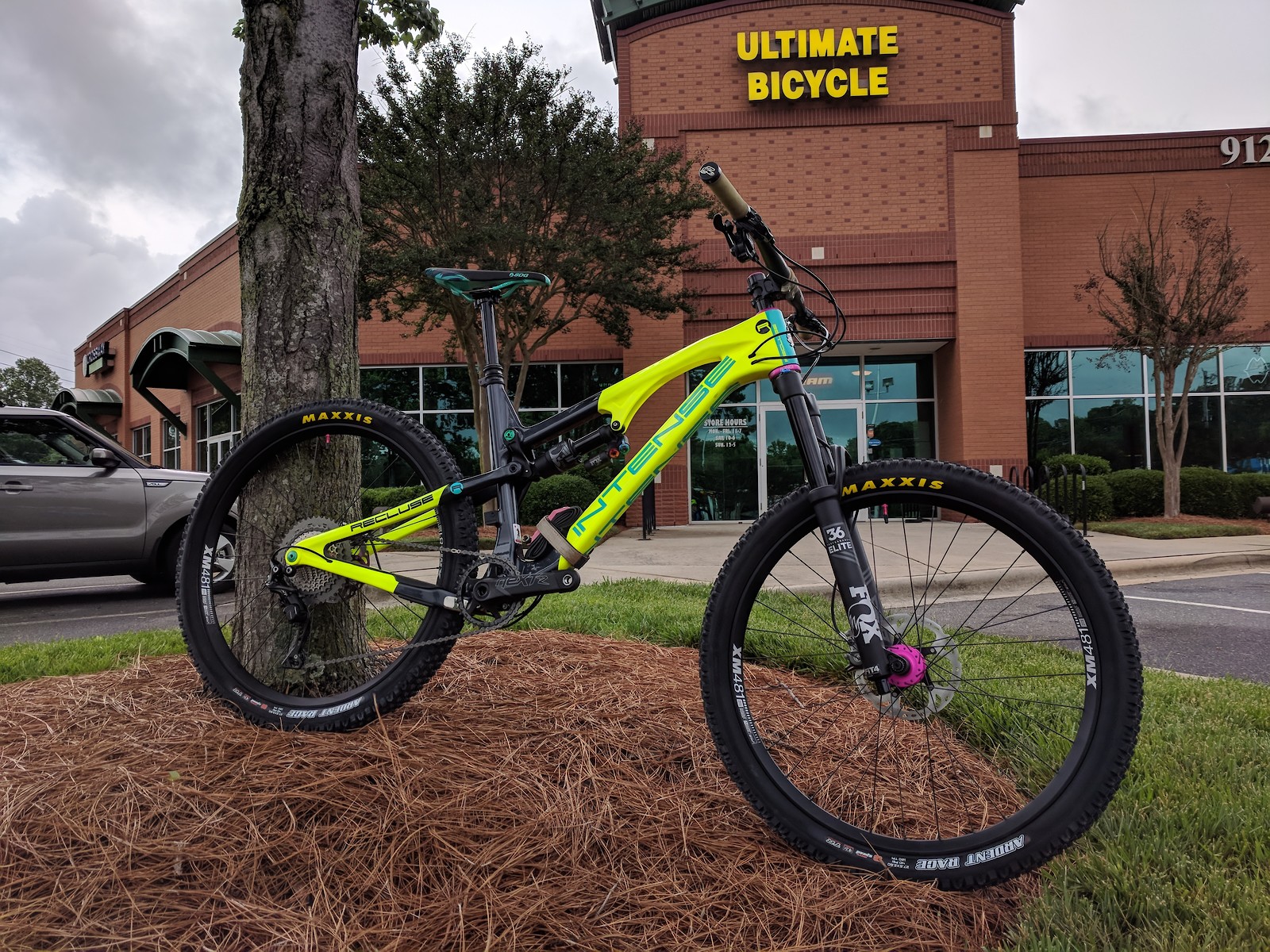 2019 intense recluse