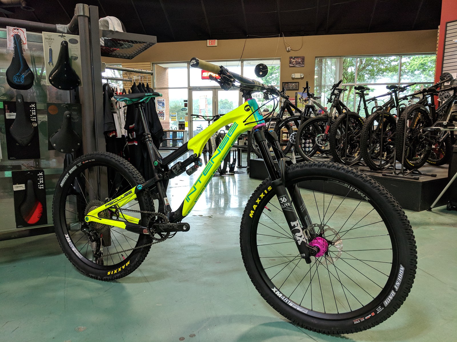 2019 intense recluse