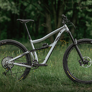 Ibis Ripmo AF - the silver one