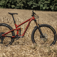 Transition Sentinel Royal Burgundy