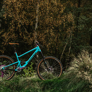 Santa Cruz classy Bronson