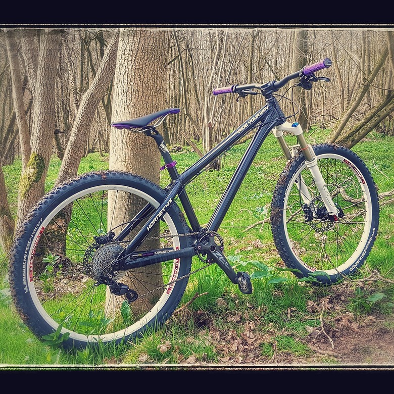 Dartmoor hornet 4x frame clearance