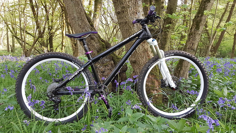 Dartmoor hornet 4x frame clearance