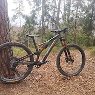 Stumpjumper Evo ltd