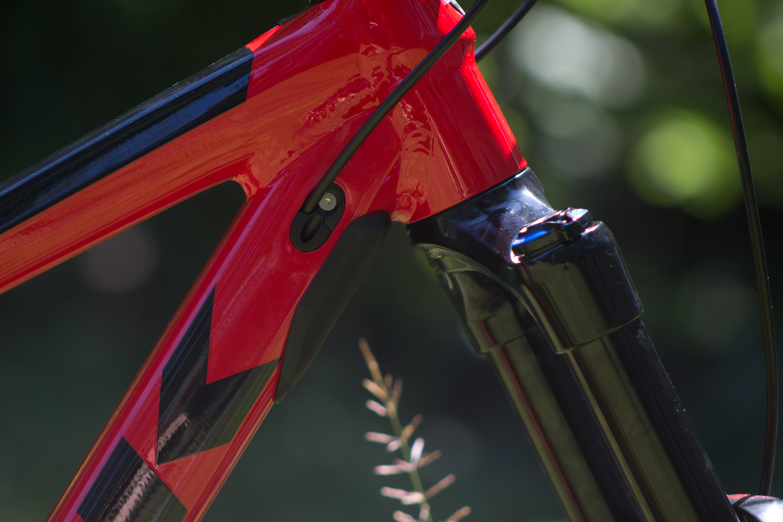 trek remedy 9 race shop limited