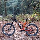 Transition Scout - Halloween Birthday Build