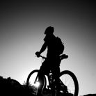 Profile picture for user pholange