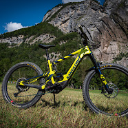 Santa Cruz The Lazy Yellowjacket