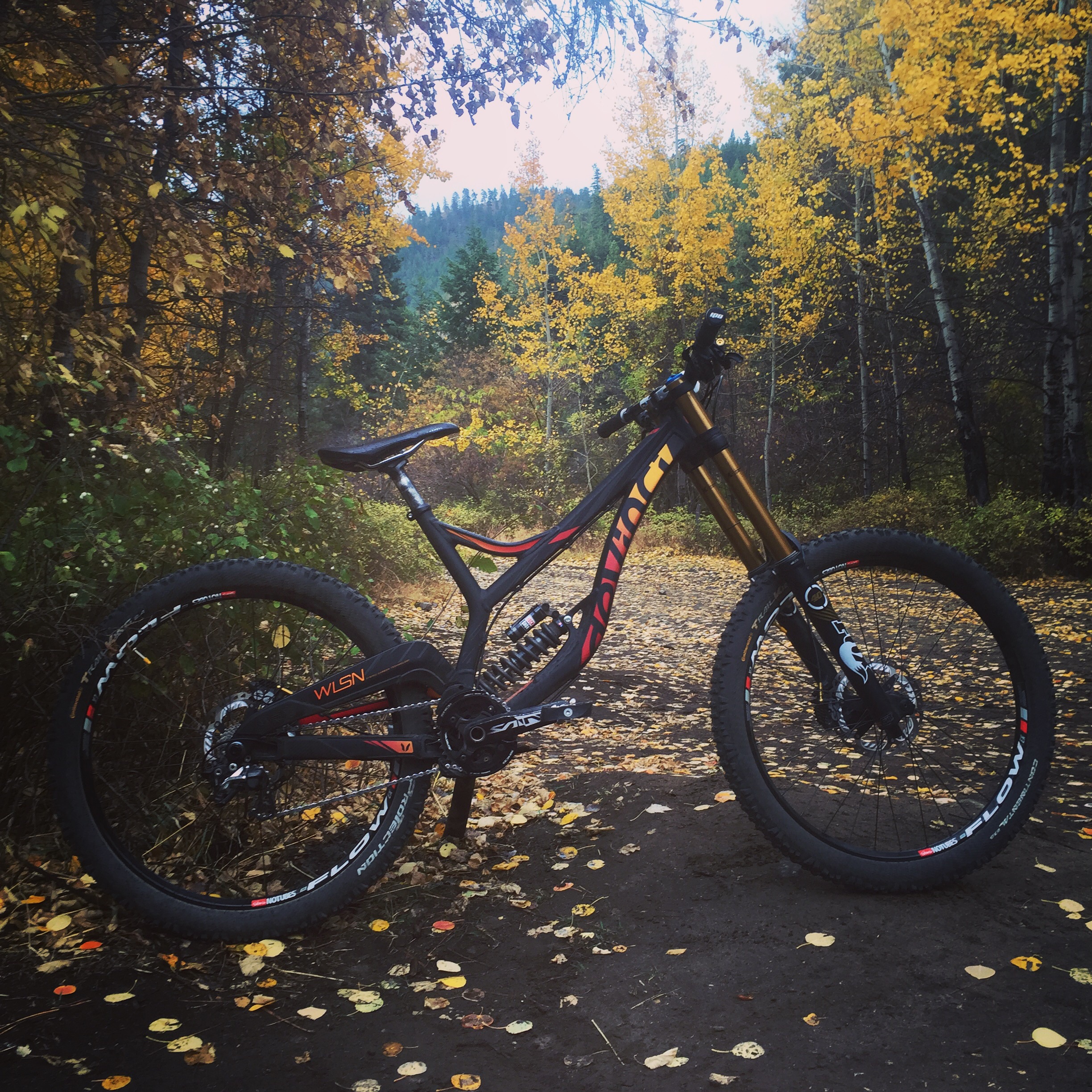 2015 Devinci Wilson 650b jib_walrus's Bike Check Vital MTB