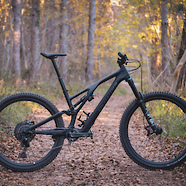 Full Carbon Stumpy Evo 2021