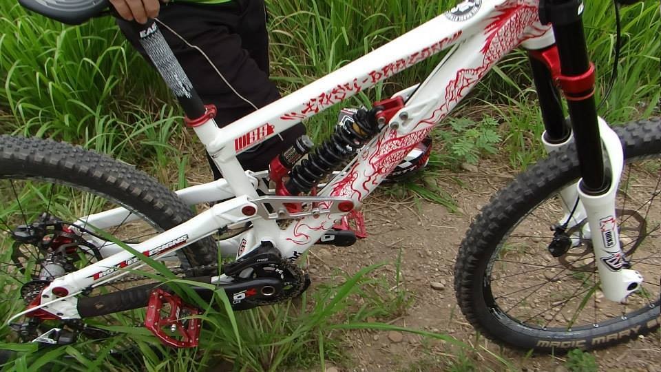EASY DRAGON Voltage DH E.Dragon's Bike Check Vital MTB