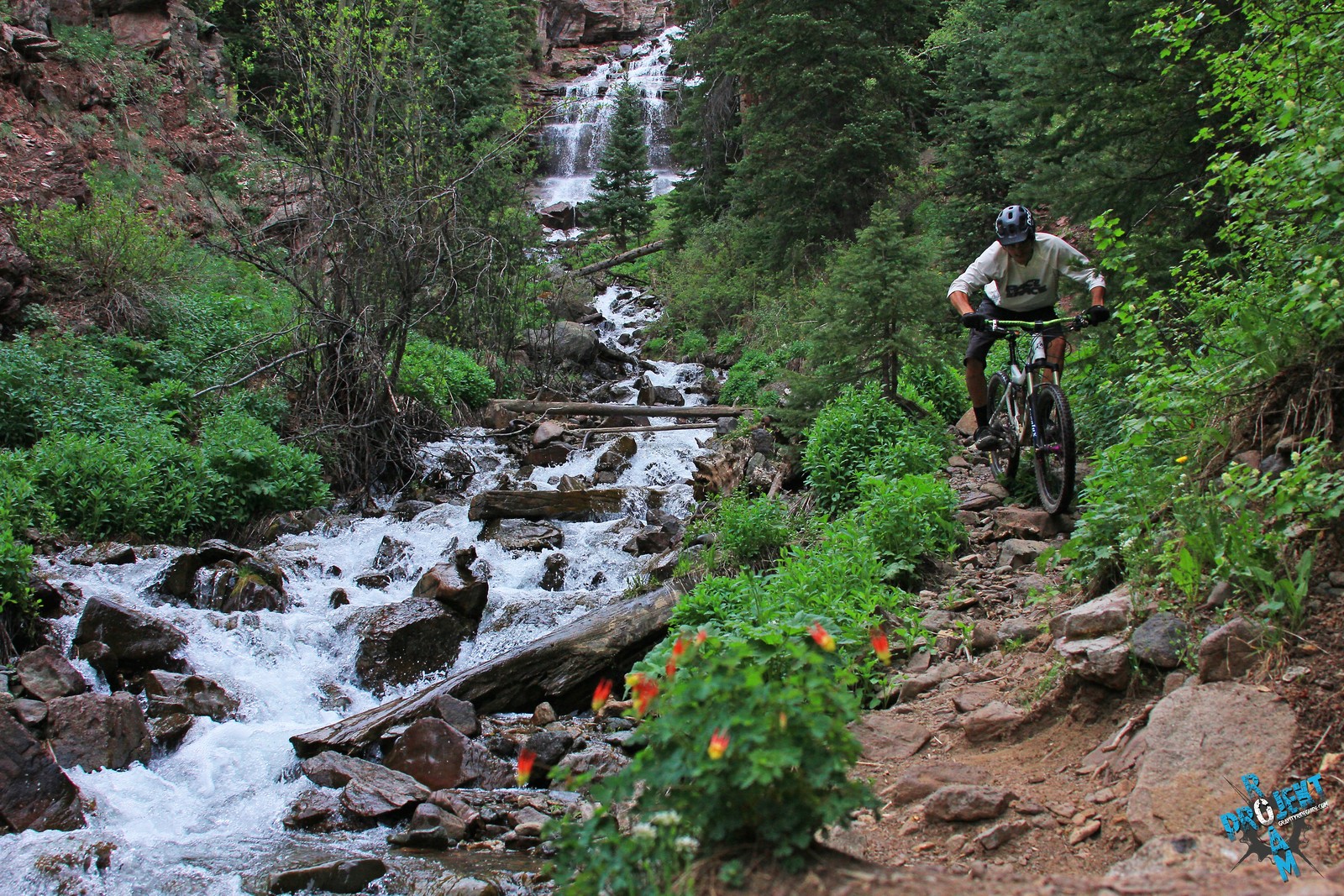 Durango, CO projekt roam Mountain Biking Pictures Vital MTB