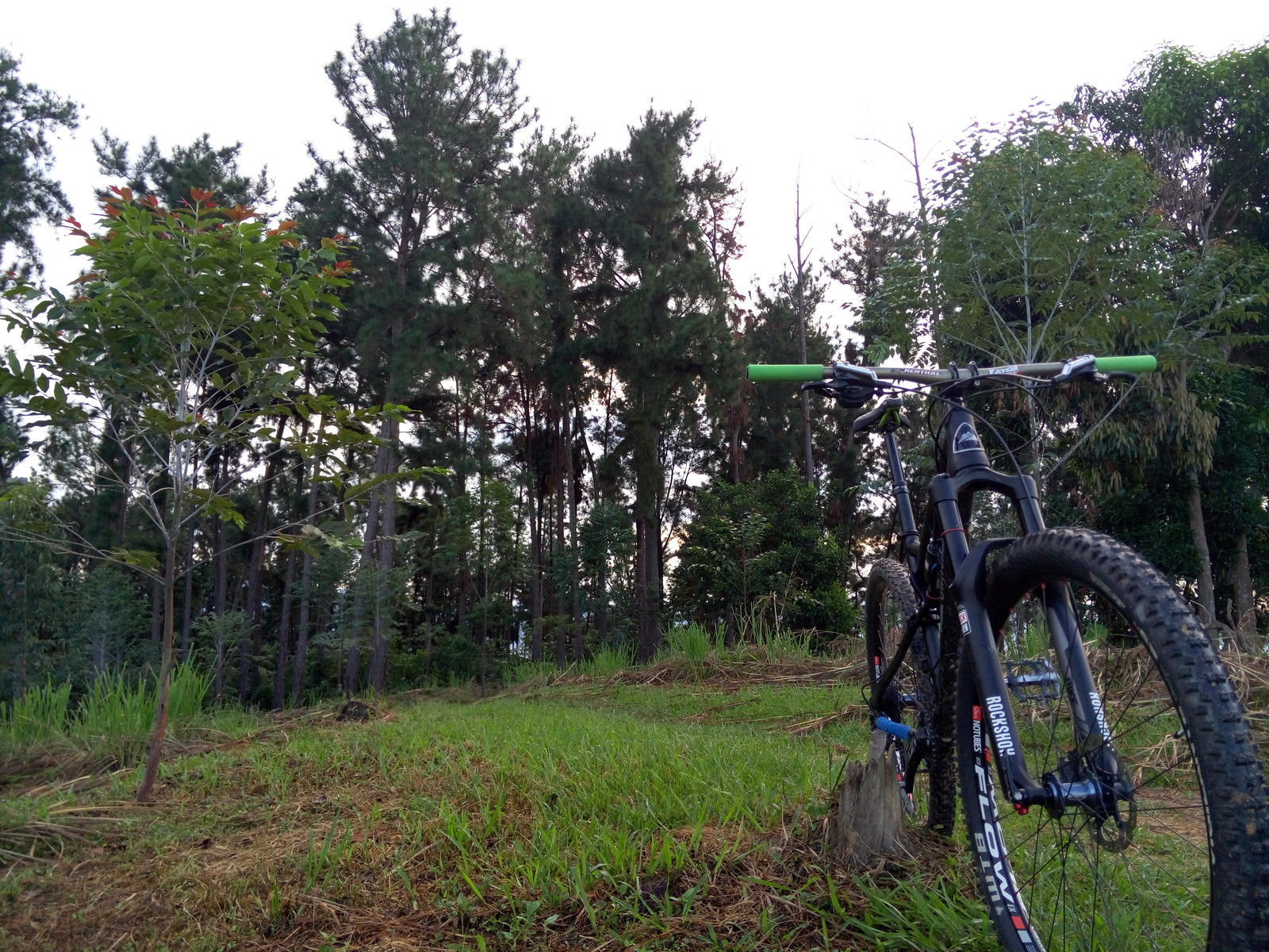 SWITCHBACK Unveil 9 nahcism's Bike Check Vital MTB