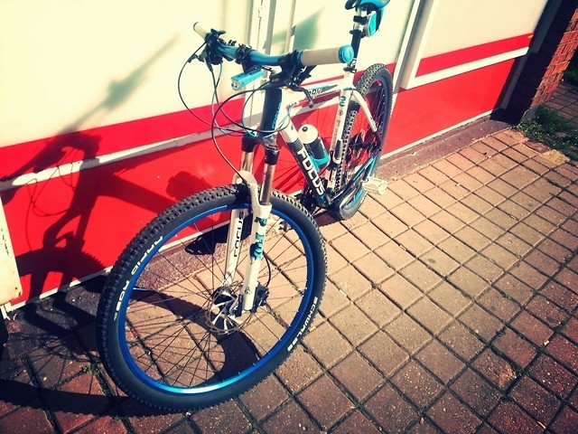 es ACCEL OG \"FORREST/FORREST\" サイズ:27cm Focus Black Forest 29