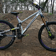 Zelmer's Propain Spindrift 2019 Purple Haze