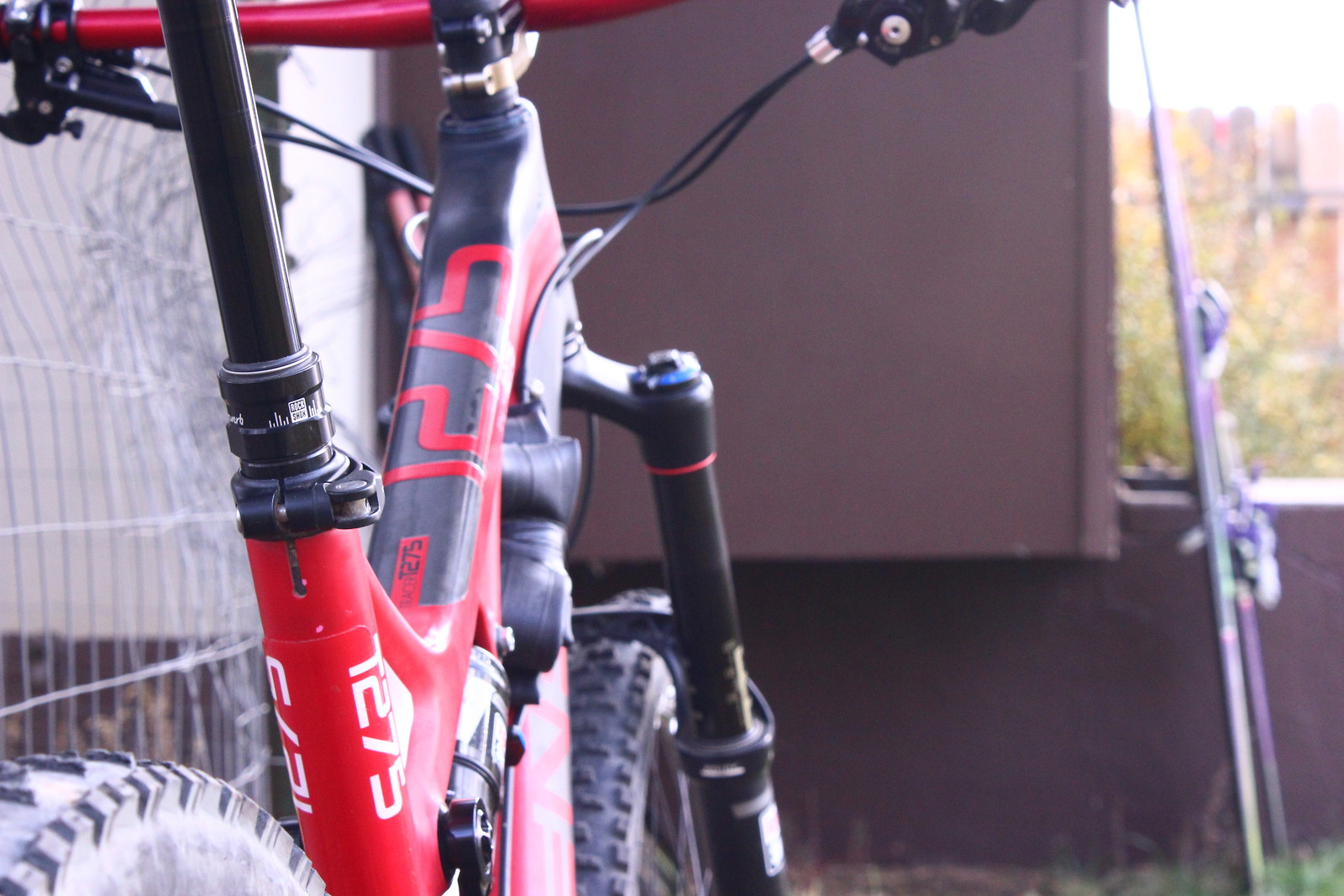 intense tracer rear triangle