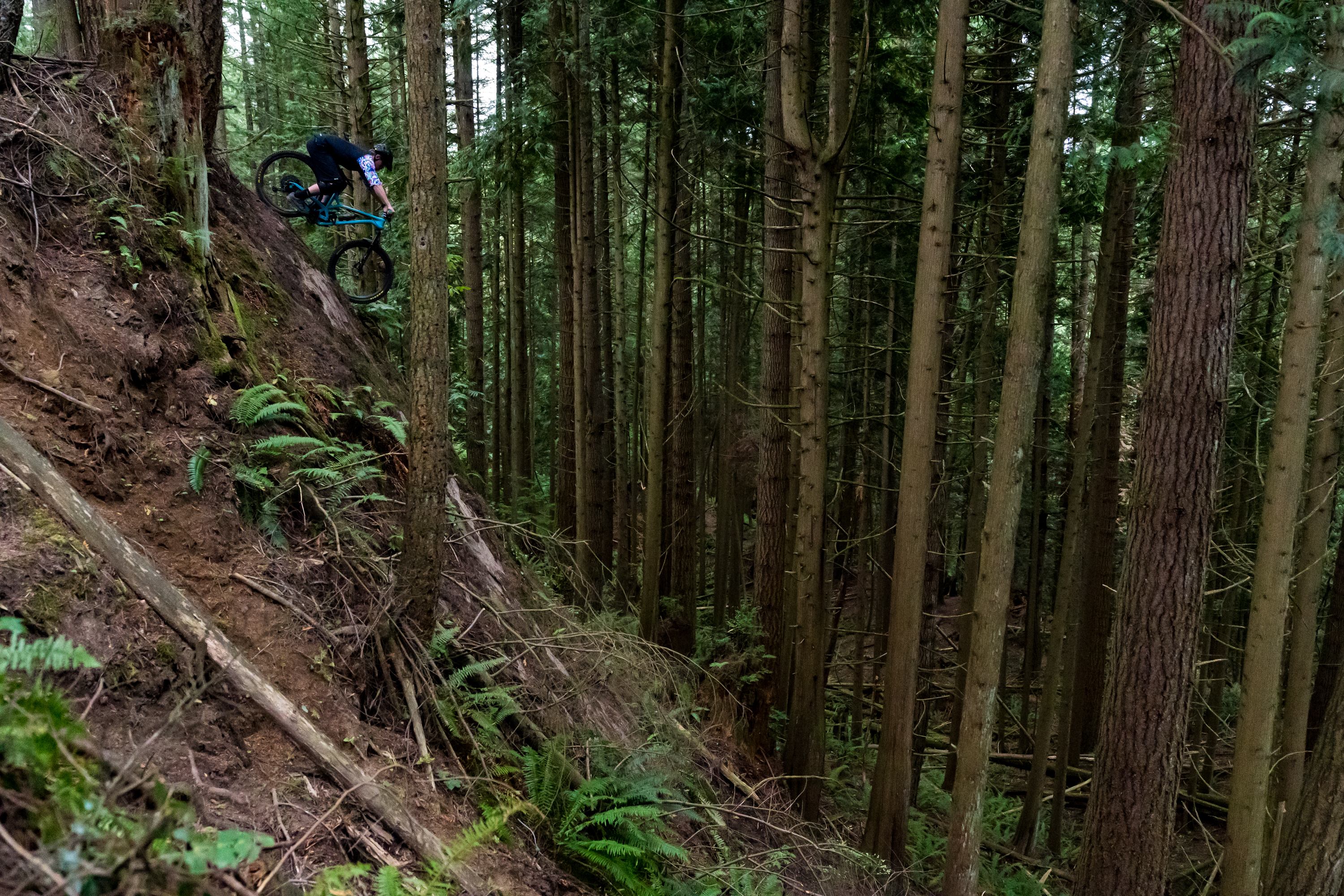 Sylas Linneman Zuestman Mountain Biking Pictures Vital Mtb Counters include who sylas jungle is strong or weak against. https www vitalmtb com photos member sylas and gibb in pnw 13192 sylas linneman 142449 zuestman 33110